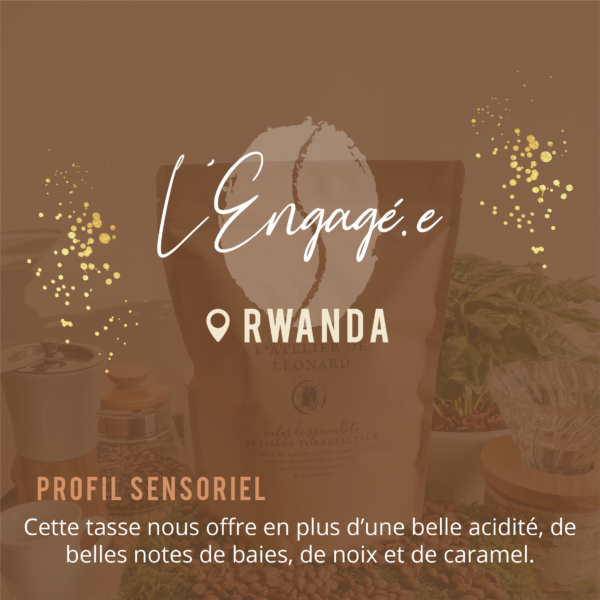Café de spécialité - Café d'exception - Rwanda